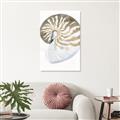 Picture of Sea Shell II _GroupedProduct_Rectangle_Portrait_Unframed_Print_Only_