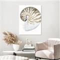 Picture of Sea Shell II _GroupedProduct_Rectangle_Portrait_Unframed_Print_Only_