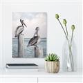 Picture of Observing Pelicans _GroupedProduct_Rectangle_Portrait_Unframed_Print_Only_