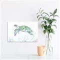 Picture of Sea Turtle II  _GroupedProduct_Rectangle_Landscape_Unframed_Print_Only_