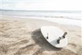 Picture of Surfboard on the Sand _GroupedProduct_Rectangle_Landscape_Photography _GroupedProduct_Rectangle_Landscape_Unframed_Print_Only_