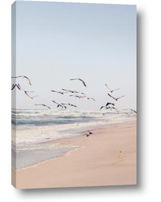 Picture of Beach Birds