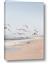 Picture of Beach Birds