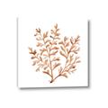 Picture of Orange Coral  _GroupedProduct_Square_Canvas_