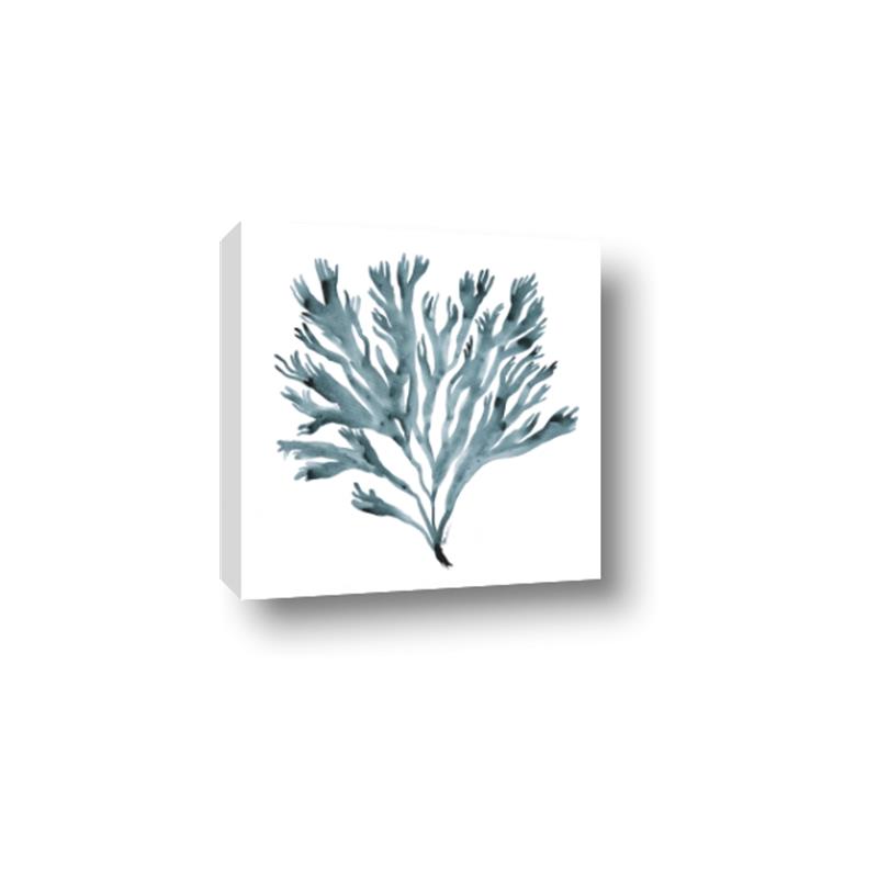 Picture of Teal Coral  _GroupedProduct_Square_Canvas_