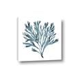 Picture of Teal Coral  _GroupedProduct_Square_Canvas_