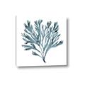 Picture of Teal Coral  _GroupedProduct_Square_Canvas_
