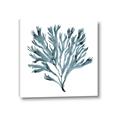 Picture of Teal Coral  _GroupedProduct_Square_Canvas_