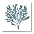 Picture of Teal Coral  _GroupedProduct_Square_Canvas_