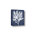 Picture of Navy Coral II  _GroupedProduct_Rectangle_Portrait_Canvas_