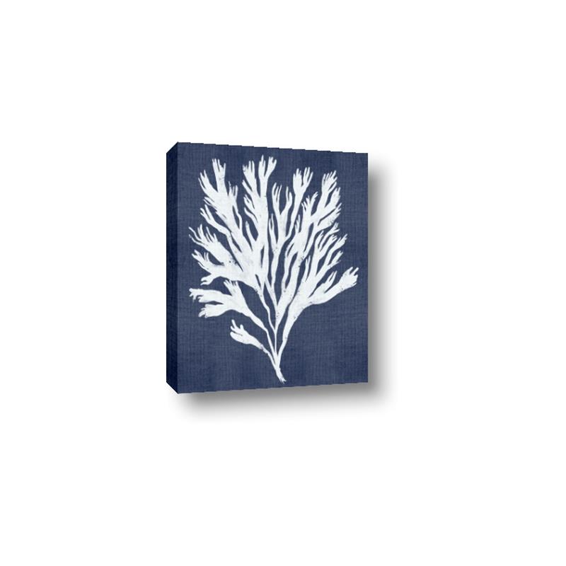 Picture of Navy Coral II  _GroupedProduct_Rectangle_Portrait_Canvas_