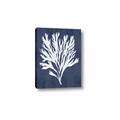Picture of Navy Coral II  _GroupedProduct_Rectangle_Portrait_Canvas_