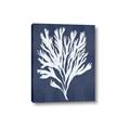 Picture of Navy Coral II  _GroupedProduct_Rectangle_Portrait_Canvas_