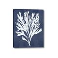 Picture of Navy Coral II  _GroupedProduct_Rectangle_Portrait_Canvas_