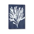 Picture of Navy Coral II  _GroupedProduct_Rectangle_Portrait_Canvas_