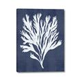 Picture of Navy Coral II  _GroupedProduct_Rectangle_Portrait_Canvas_