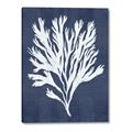 Picture of Navy Coral II  _GroupedProduct_Rectangle_Portrait_Canvas_