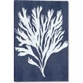 Picture of Navy Coral II  _GroupedProduct_Rectangle_Portrait_Canvas_