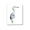 Picture of Egret I  _GroupedProduct_Rectangle_Portrait_Canvas_