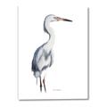 Picture of Egret I  _GroupedProduct_Rectangle_Portrait_Canvas_
