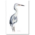 Picture of Egret I  _GroupedProduct_Rectangle_Portrait_Canvas_