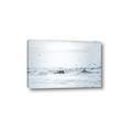 Picture of Seagulls Over the Water _GroupedProduct_Rectangle_Landscape_Photography _GroupedProduct_Rectangle_Landscape_Canvas_