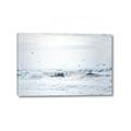 Picture of Seagulls Over the Water _GroupedProduct_Rectangle_Landscape_Photography _GroupedProduct_Rectangle_Landscape_Canvas_