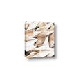 Picture of All the Shells  _GroupedProduct_Rectangle_Portrait_Photography _GroupedProduct_Rectangle_Portrait_Canvas_