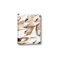 Picture of All the Shells  _GroupedProduct_Rectangle_Portrait_Photography _GroupedProduct_Rectangle_Portrait_Canvas_