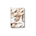 Picture of All the Shells  _GroupedProduct_Rectangle_Portrait_Photography _GroupedProduct_Rectangle_Portrait_Canvas_