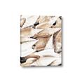 Picture of All the Shells  _GroupedProduct_Rectangle_Portrait_Photography _GroupedProduct_Rectangle_Portrait_Canvas_