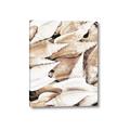 Picture of All the Shells  _GroupedProduct_Rectangle_Portrait_Photography _GroupedProduct_Rectangle_Portrait_Canvas_