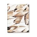 Picture of All the Shells  _GroupedProduct_Rectangle_Portrait_Photography _GroupedProduct_Rectangle_Portrait_Canvas_