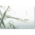 Picture of Sailboat in the Distance _GroupedProduct_Rectangle_Landscape_Photography _GroupedProduct_Rectangle_Landscape_Canvas_