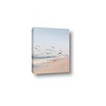 Picture of Beach Birds _GroupedProduct_Rectangle_Portrait_Photography _GroupedProduct_Rectangle_Portrait_Canvas_