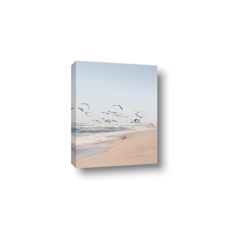 Picture of Beach Birds _GroupedProduct_Rectangle_Portrait_Photography _GroupedProduct_Rectangle_Portrait_Canvas_