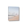 Picture of Beach Birds _GroupedProduct_Rectangle_Portrait_Photography _GroupedProduct_Rectangle_Portrait_Canvas_