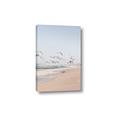 Picture of Beach Birds _GroupedProduct_Rectangle_Portrait_Photography _GroupedProduct_Rectangle_Portrait_Canvas_