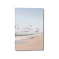 Picture of Beach Birds _GroupedProduct_Rectangle_Portrait_Photography _GroupedProduct_Rectangle_Portrait_Canvas_