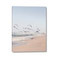 Picture of Beach Birds _GroupedProduct_Rectangle_Portrait_Photography _GroupedProduct_Rectangle_Portrait_Canvas_