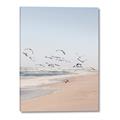 Picture of Beach Birds _GroupedProduct_Rectangle_Portrait_Photography _GroupedProduct_Rectangle_Portrait_Canvas_