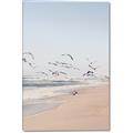 Picture of Beach Birds _GroupedProduct_Rectangle_Portrait_Photography _GroupedProduct_Rectangle_Portrait_Canvas_