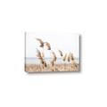 Picture of Beach Pampas _GroupedProduct_Rectangle_Landscape_Photography _GroupedProduct_Rectangle_Landscape_Canvas_