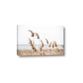 Picture of Beach Pampas _GroupedProduct_Rectangle_Landscape_Photography _GroupedProduct_Rectangle_Landscape_Canvas_