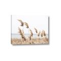 Picture of Beach Pampas _GroupedProduct_Rectangle_Landscape_Photography _GroupedProduct_Rectangle_Landscape_Canvas_