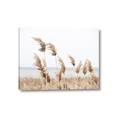 Picture of Beach Pampas _GroupedProduct_Rectangle_Landscape_Photography _GroupedProduct_Rectangle_Landscape_Canvas_