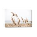 Picture of Beach Pampas _GroupedProduct_Rectangle_Landscape_Photography _GroupedProduct_Rectangle_Landscape_Canvas_