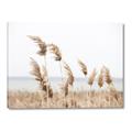 Picture of Beach Pampas _GroupedProduct_Rectangle_Landscape_Photography _GroupedProduct_Rectangle_Landscape_Canvas_