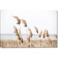 Picture of Beach Pampas _GroupedProduct_Rectangle_Landscape_Photography _GroupedProduct_Rectangle_Landscape_Canvas_