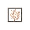 Picture of Orange Coral  _GroupedProduct_Square_Canvas_Framed_